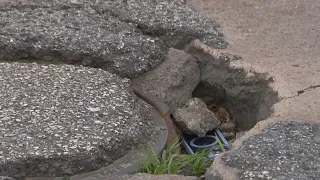 problem pothole causing major damage