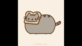 пушин всегда с нами! #cat #pusheen