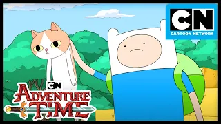 Little Cat Prince | SATURDAY COMPILATION | Adventure Time | Cartoon Network