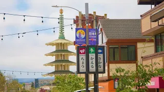 Business owners talk surviving and thriving in remaining Bay Area Japantowns