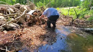 Removing Giant Culvert Clog And I Get Soaked