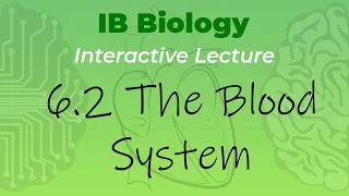 IB Biology 6.2 - The Blood System - Interactive Lecture