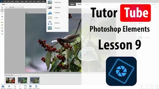 Photoshop Elements Tutorial - Lesson 9 - Whiten Teeth Tool