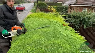 ⚡ Shockingly Satisfying Hedge Trimming ⚡