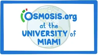 Osmosis.org at the University of Miami, Miller School of Medicine