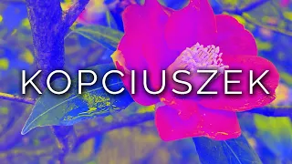 1285-PL_IT Arianna, KOPCIUSZEK - Hipnoza Ezoteryczna ∞ Lucio Carsi