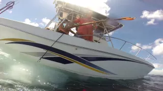 222 pounds of lionfish in one day