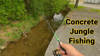 Surprised by Urban Ditch Fishing!!