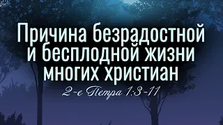 Причина безрадостной и бесплодной жизни многих христиан (Андрей Резуненко)