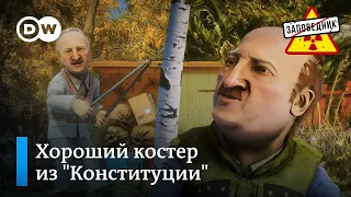 Четыре совета, чтобы пережить эту зиму – "Заповедник", выпуск 282, сюжет 4