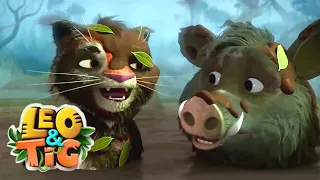 Leo and Tig 💥  लियो और टिग ✨ प्रकृति का जादू 💥  Magic of nature 💥  Super Toons TV