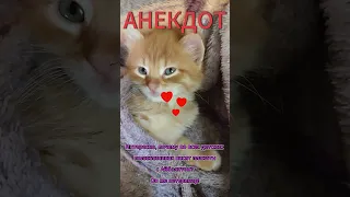 АНЕКДОТ.  #shortvideo #сундучок #смешныеанекдоты #смехотдуши🤣🤣🤣 #юмор #юморок #рекомендую #подпишись