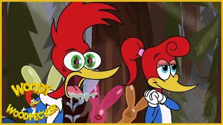 Woody Woodpecker | The Egg Hunt | Full Episodes