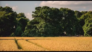 アイルランドが生み出した正真正銘の神曲「ダウン州の輝ける星」日本語訳付き