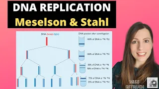 MESELSON and STAHL - Evidence of semi-conservation replication for A-level Biology. DNA REPLICATION
