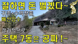 결과적으로 주택7동 공짜!~잘하면 돈 벌겠다~물좋고 공기좋고 계곡물 철철철~배산임수,이곳에서 귀촌+수익창출~건물219평 토지3140평 2억대~[땅지통]