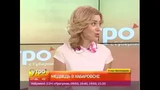 Медведь в Хабаровске. Утро с Губернией. GuberniaTV