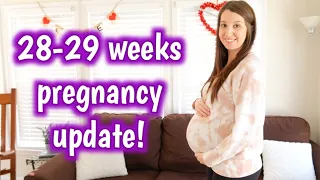 28-29 WEEKS PREGNANT UPDATE | Erika Ann