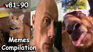 Funny videos. Unusual Memes Compilation v81-90 #memes