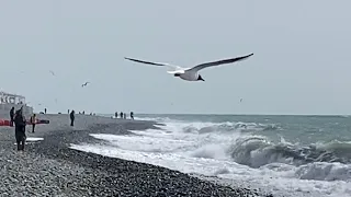 03.03.2024. Погода в Сочи в марте. Смотри на Чёрное море каждый день.