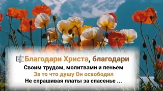 🎼БЛАГОДАРИ ХРИСТА, благодари, Своим трудом, молитвами и пеньем...#ХристианскиеПесни#НебеснаяОтчизна#