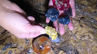Unexpected wealth/gold, amethyst, Opal, citrine, Dense deep forest cave