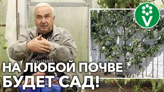 КАК ВЫСАЖИВАТЬ САЖЕНЦЫ В СЛОЖНЫХ УСЛОВИЯХ?! Руководство по закладке сада!