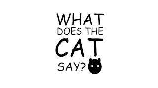 N2 the Talking Cat - What Does the Cat Say (Sneak Preview)