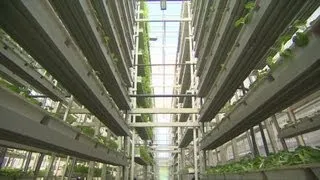 Vertical farms solve land problem
