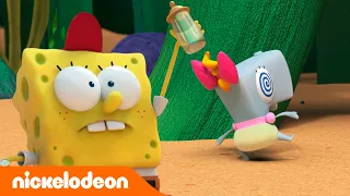 Kamp Koral: SpongeBob al campo estivo | SpobgeBob, il babysitter | Nickelodeon Italia