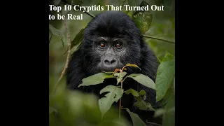 Top 10 Cryptids That Turned Out to be Real