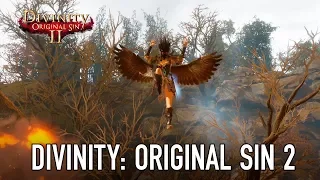 Coming Soon - Divinity: Original Sin 2