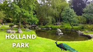 Japanese Garden in London | London Summer Walk 4K | Holland Park & Kyoto Garden Walking Tour