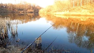 Рыбалка на Хопре на донки,поплавок