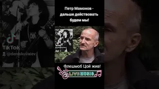 Петр Мамонов в поддержку флешмоба Цой жив - дальше действовать будем мы!  #мамонов #цой #цойжив