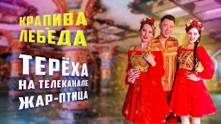 Терёха на канале Жар Птица - Крапива-лебеда