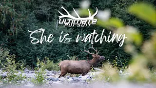 "She Is Watching” (Trailer) - Official Selection, 2024 Full Draw Film Tour