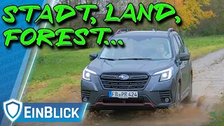 Subaru Forester 2.0ie (2022) - WAIDMANNSHEIL! 25 Jahre Forester - ein echter Offroader?