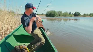 Такая рыбалка запомнится надолго! Ловля рыбы в красивейших местах Астрахани!