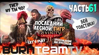 Divinity: Original Sin 2. Часть 61 - Последний Лесной Тигр (Прохождение игры)