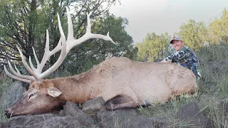 My First Bull Elk  - I'll Never Top This