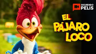 EL PÁJARO LOCO | LIVE ACTION | RESUMEN EN 13 MINUTOS