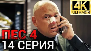 Сериал ПЕС 4 сезон - 14 серия - Все серии подряд в 4К - Смотреть онлайн в хорошем качестве