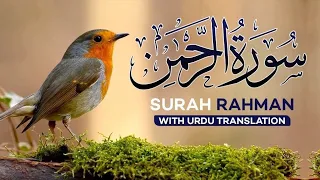surah rahman qari abdul basit | most heart touching quran recitation