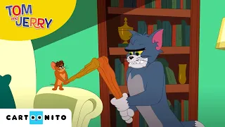 Tom & Jerry | Holenkat | Cartoonito