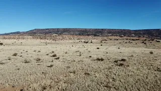 Valley Flight Near Grants, NM