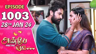 Anbe Vaa Serial | Episode 1003 | 28th Jan 2024 | Virat | Shree Gopika | Saregama TV Shows Tamil