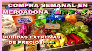Compra Semanal en Mercadona Precios MUY ELEVADOS😱/ VLOG 09