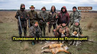 Полювання з гончаками на Полтавщині