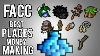 Tibia | FACC | 8 Best Profits places |Easy Profit From level 8 | LOOT | BONA |RP